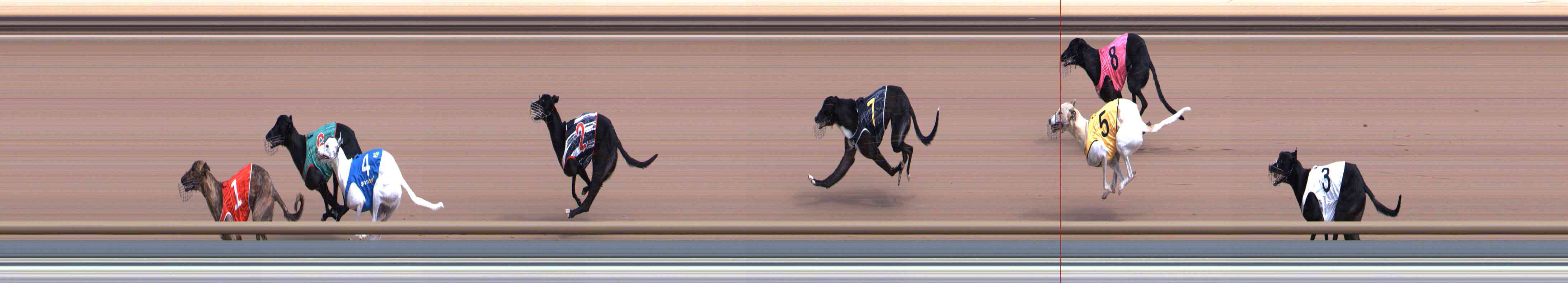 Race result finish photo